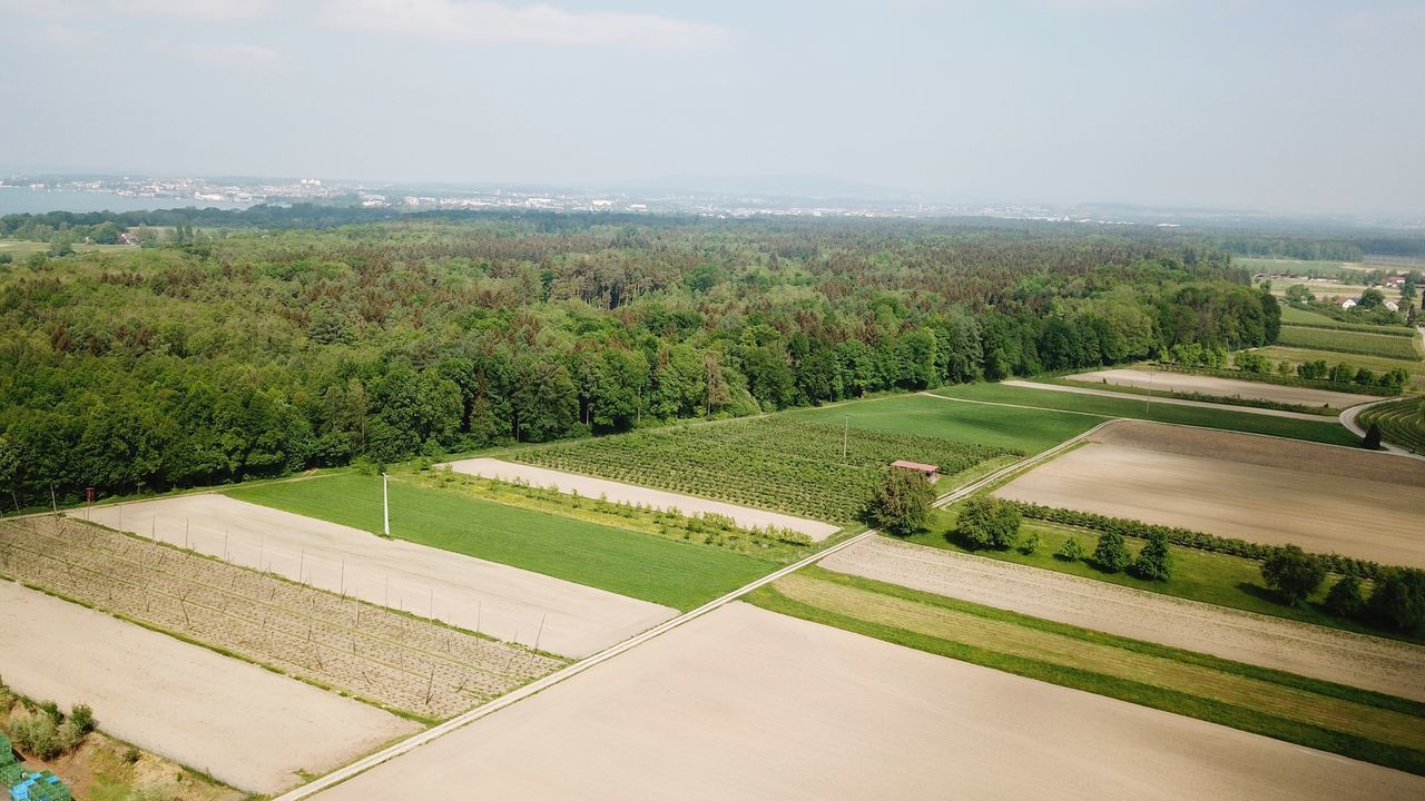 SCENIC VIEW OF LANDSCAPE