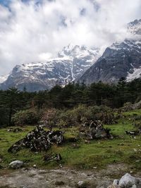 Scenic view of mountains against cloudy sky