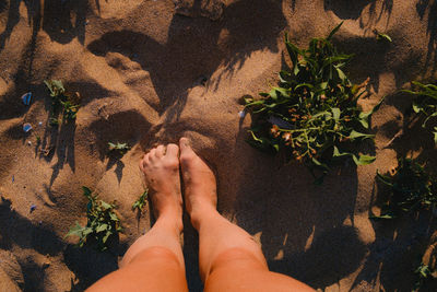 Low section of woman standing on sand
