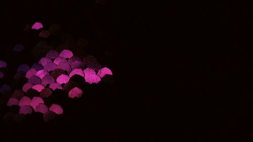 Pink light painting against black background