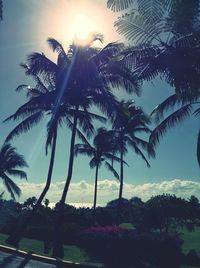 Silhouette palm trees at beach against sky during sunset