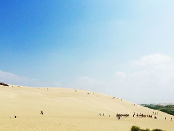 Scenic view of sandy beach