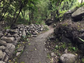 Footpath amidst rocks in forest