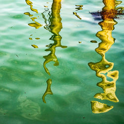 High angle view of fishes swimming in lake