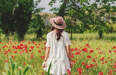 Rear view of woman standing by red flowers on field