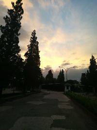 Silhouette of trees at sunset