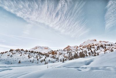 Scenic view of snow covered landscape