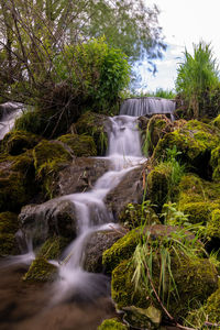 Water flowing through rocks in forest