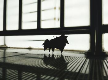 Close-up of silhouette horse on window