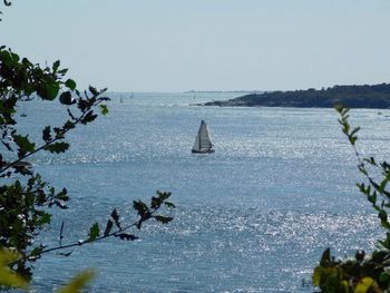 Sailboats sailing in sea against clear sky