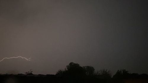 Low angle view of silhouette trees against sky at night