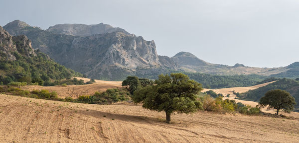 Scenic view of landscape and mountains against sky