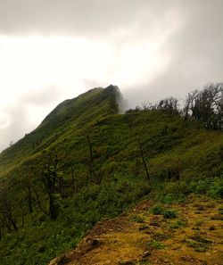 Scenic view of landscape against cloudy sky