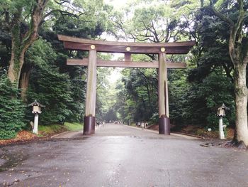 Road amidst trees in park