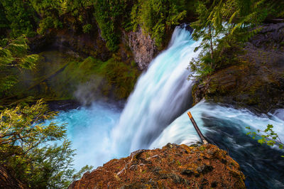 Scenic view of waterfall in forest