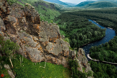 High angle view of land and trees in forest