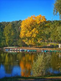 Scenic view of lake by trees during autumn