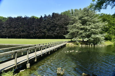 Scenic view of lake by trees against sky