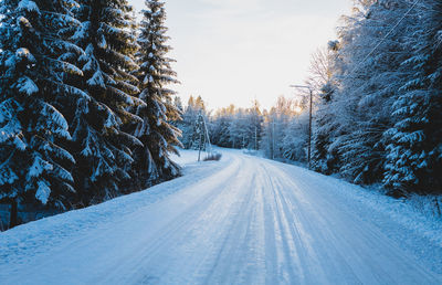 Road amidst trees against sky