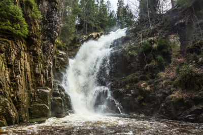 Scenic view of waterfall in forest