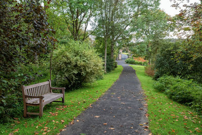 Empty bench in park