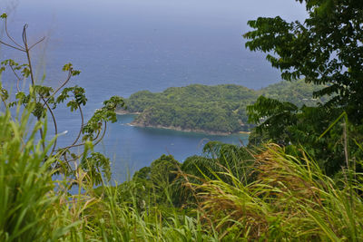 Scenic view of lake and trees against sky