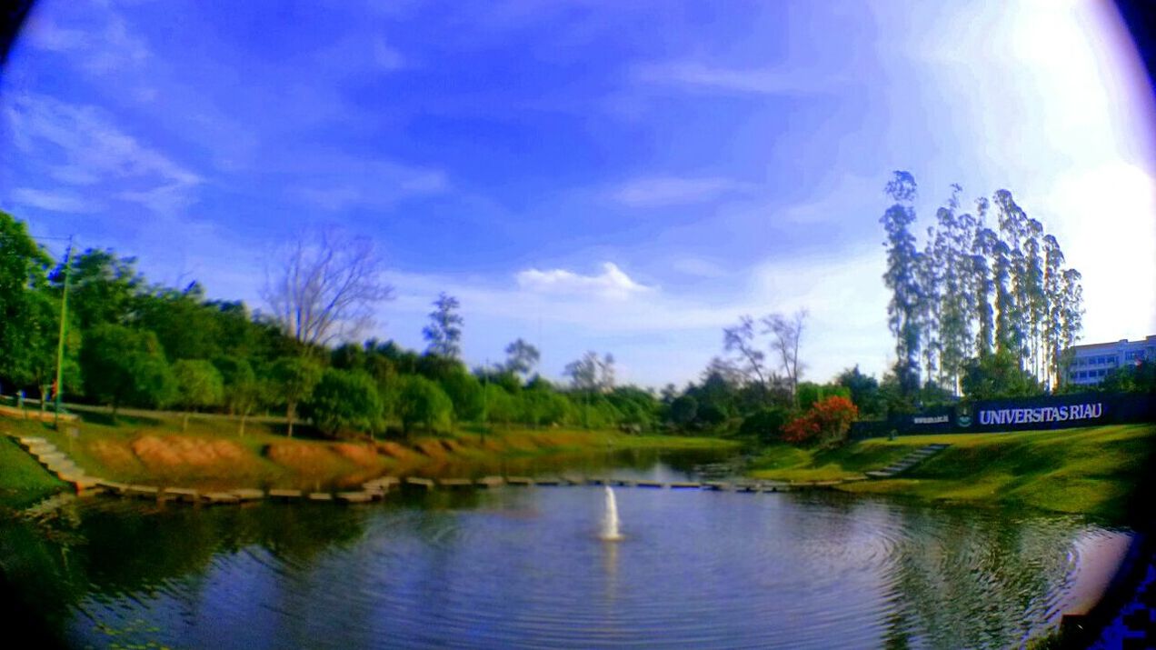 tree, water, sky, waterfront, tranquility, blue, reflection, tranquil scene, cloud - sky, lake, scenics, beauty in nature, nature, cloud, river, building exterior, built structure, growth, architecture, idyllic