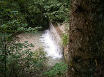 Scenic view of waterfall amidst trees in forest
