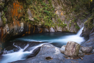 Scenic view of waterfall in forest