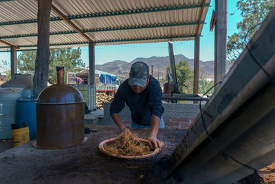 Rear view of man working in greenhouse