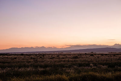 Scenic view of field against sky during sunset