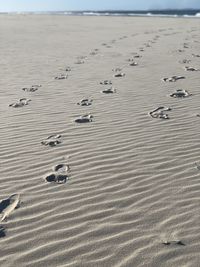High angle view of sand dune on beach