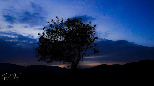 Silhouette tree on field against sky at sunset