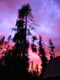 Silhouette of trees against cloudy sky