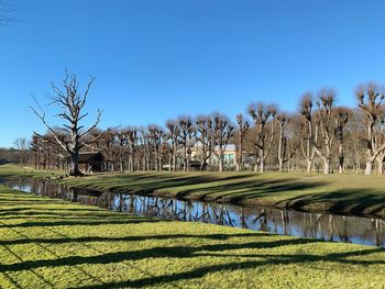 Scenic view of field against clear blue sky