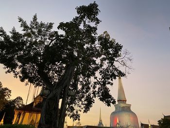 Low angle view of silhouette tree by building against sky