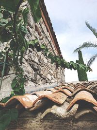 Plants growing on rock by sea against sky