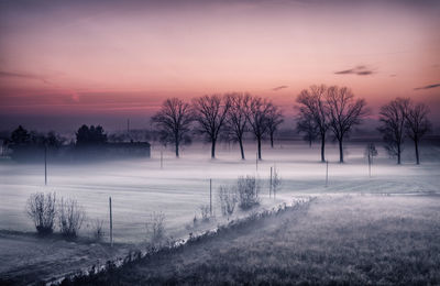 Trees on snow covered landscape against sky during sunset