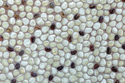 Background of naturally polished white and brown pebbles.