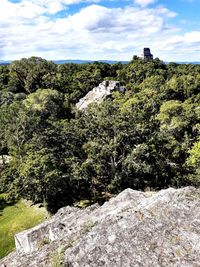 Plants growing on rocks against sky