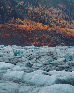 Full frame shot of glacier and trees