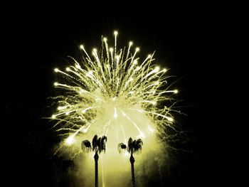 Fireworks at night with trees in foreground