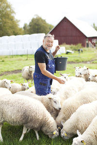 Senior farmer working on pasture, smaland, sweden