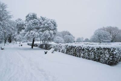 Trees on snow covered field against sky