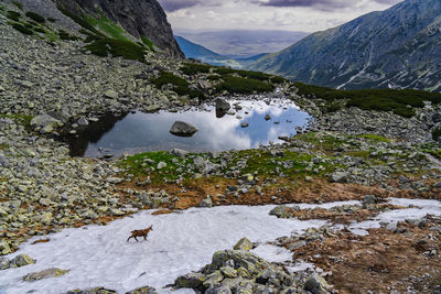 Scenic view of snowcapped mountains
