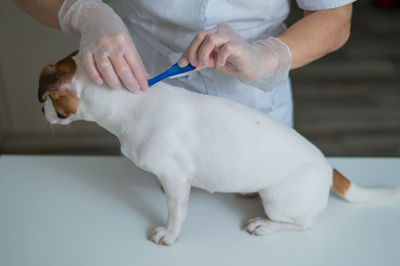 Midsection of doctor holding syringe