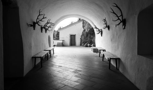 Empty corridor of predjama castle