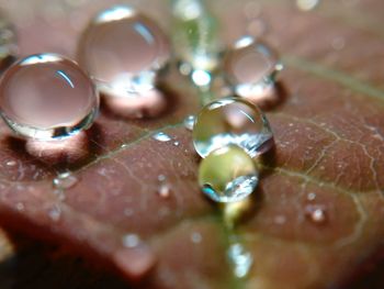 Close-up of water drops on table