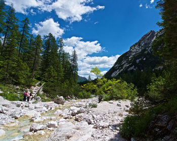 Panoramic shot of trees on mountain against sky