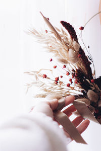 Close-up of hand on flowering plant